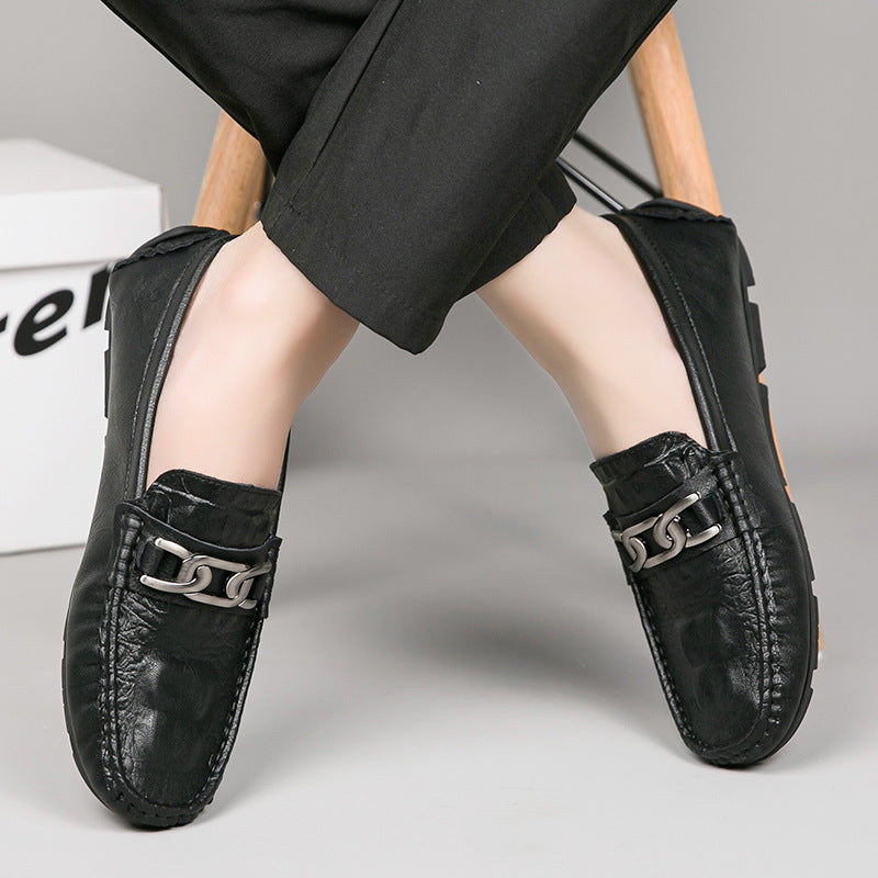 TNV Collection