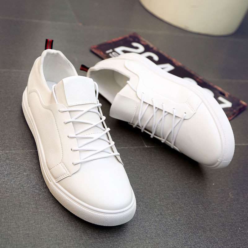 ZENO Stride 23