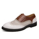 VERA Aero 52 (White Brown)