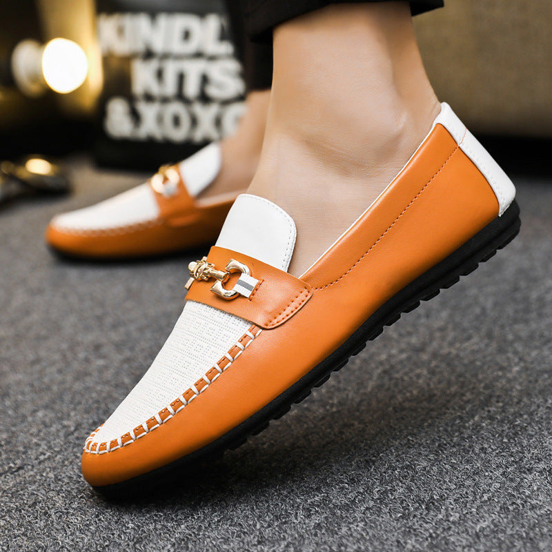 TNV COLLECTION