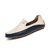 VERA Edge 23 (Beige hollow Style )