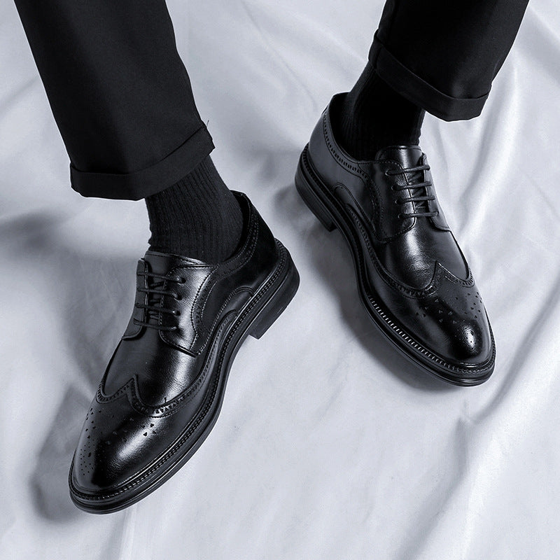 TNV Collection