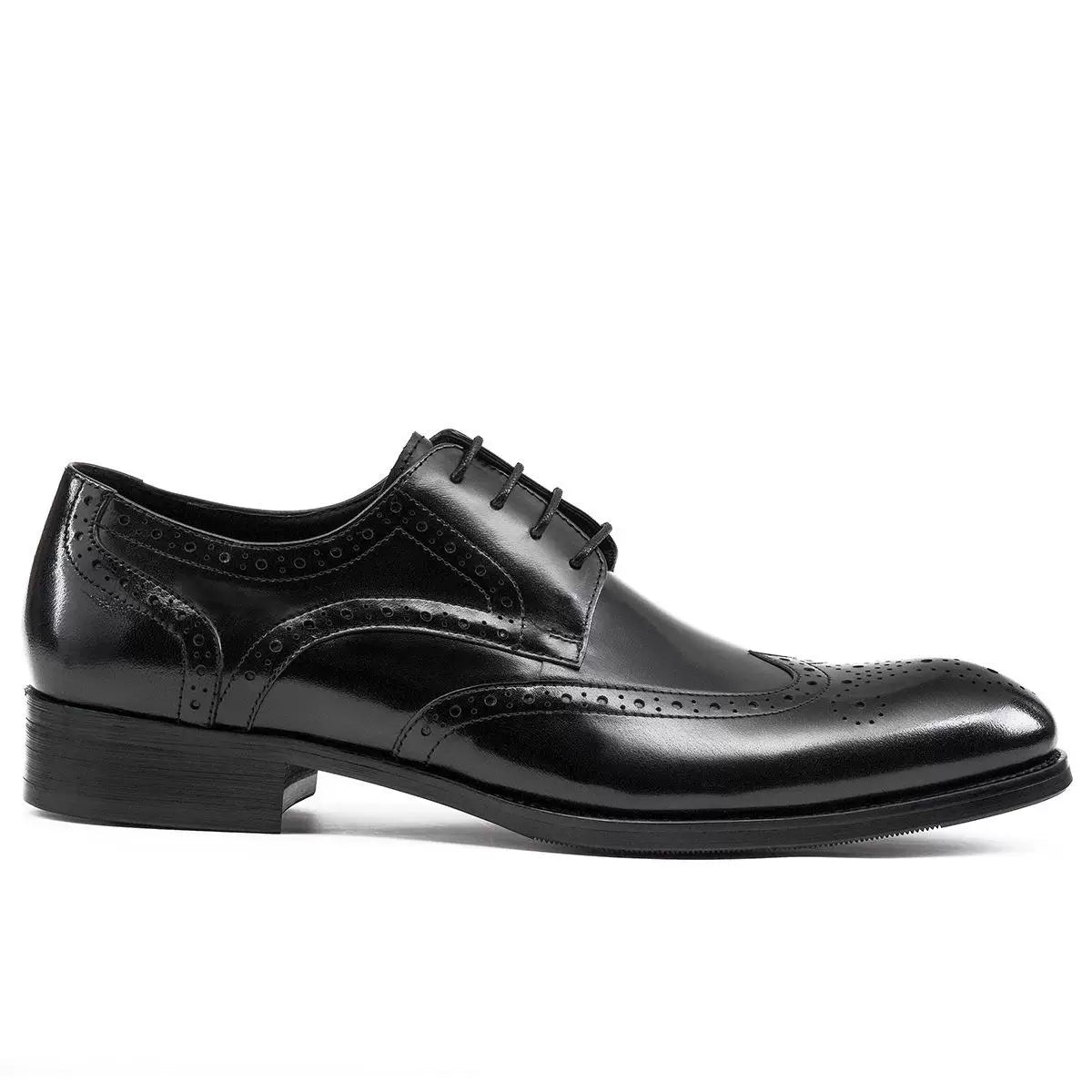 Men's Genuine Leather Derby Shoes, Pointed Toe, Lace-Up