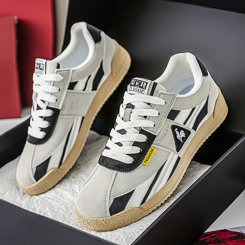 TnV Collection